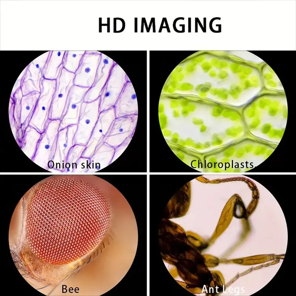 กล้องจุลทรรศน์พกพาสำหรับเด็ก | - Outdoor Adventure Microscope บทวิจารณ์และราคา